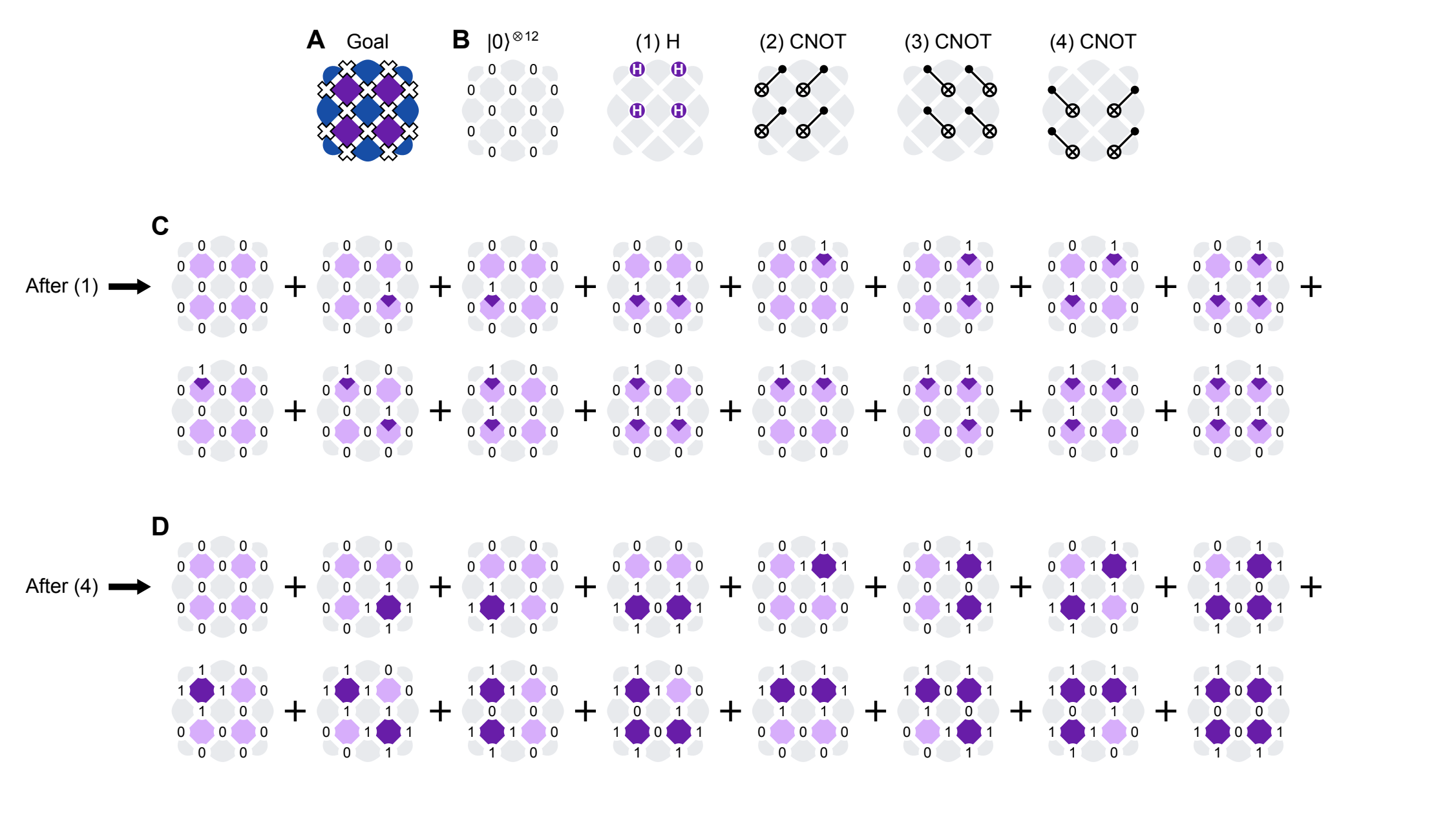 12 qubit toric code example